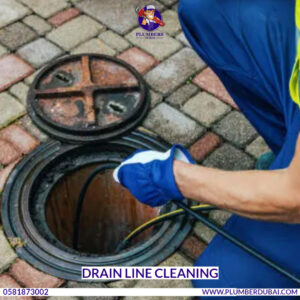 Drain Line Cleaning