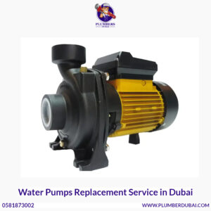 Water Pumps Replacement Service in Dubai