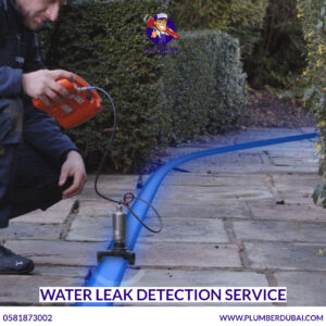 Water Leak Detection Service