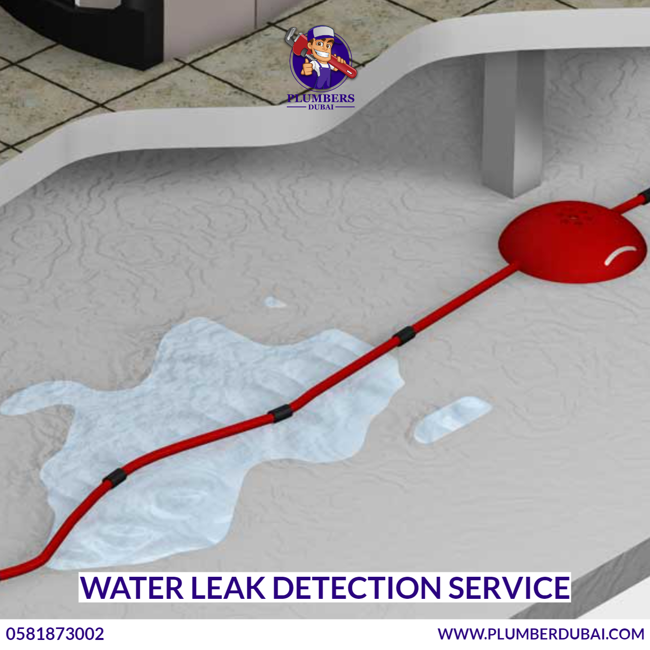 Water Leak Detection Service