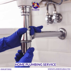 Home Plumbing Service