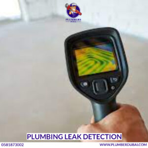 Plumbing Leak Detection 