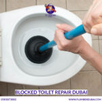 Blocked Toilet Repair Dubai