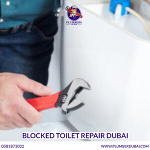 Blocked Toilet Repair Dubai