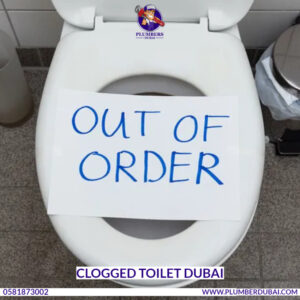 Clogged Toilet Dubai