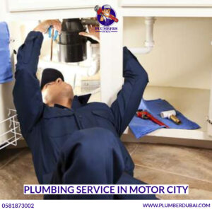 Plumbing Service in Motor City