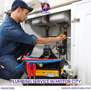Plumbing Service in Motor City