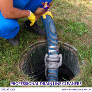 Professional Drain Line Cleaners