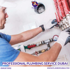 Professional Plumbing Service Dubai