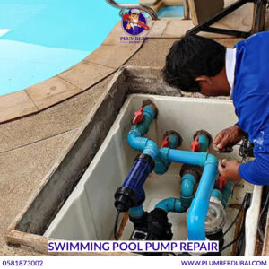 Swimming Pool Pump Repair