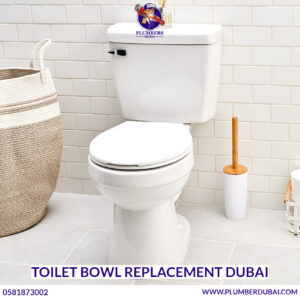 Toilet Bowl Replacement Dubai