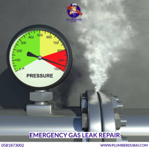 Emergency Gas Leak Repair