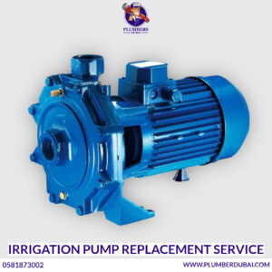 Irrigation Pump Replacement Service