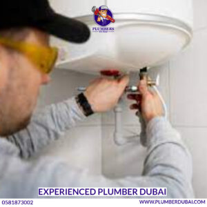 Experienced Plumber Dubai 