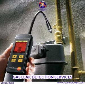 Gas Leak Detection Services