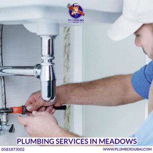 Plumbing Services in Meadows