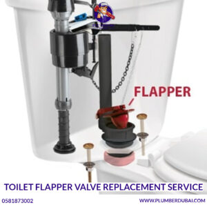Toilet Flapper Valve Replacement Service