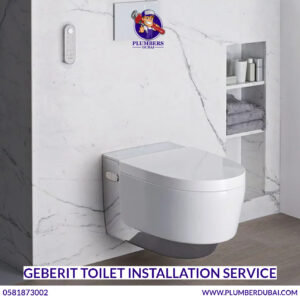Geberit Toilet Installation Service