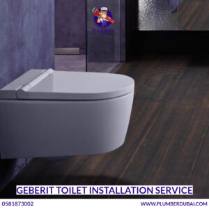 Geberit Toilet Installation Service