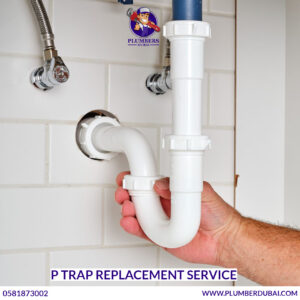 P Trap Replacement Service