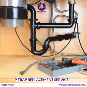 P Trap Replacement Service