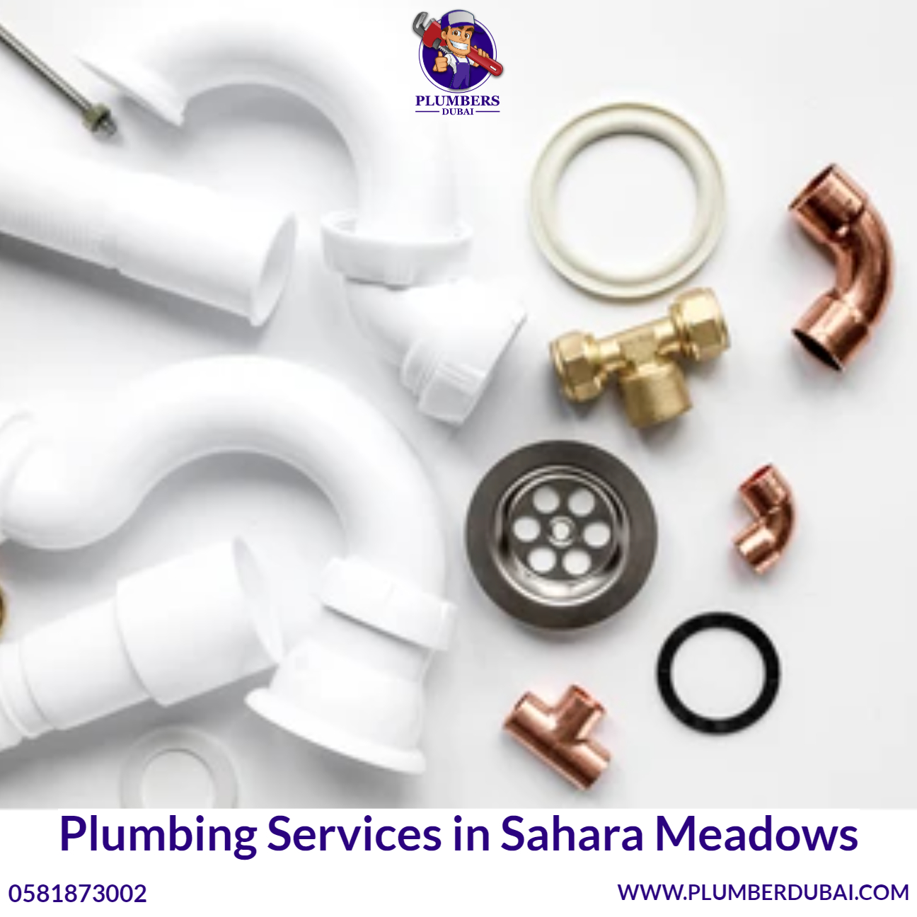 Plumbing Services in Sahara Meadows