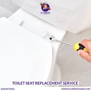 Toilet Seat Replacement Service 