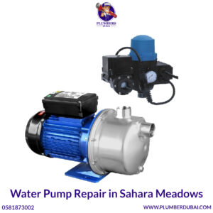 Water Pump Repair in Sahara Meadows
