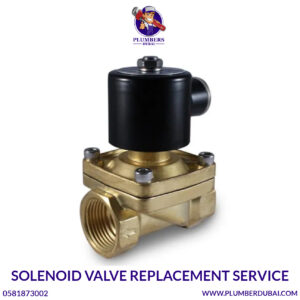 Solenoid Valve Replacement Service