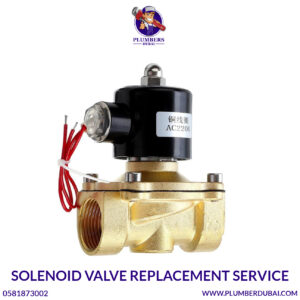 Solenoid Valve Replacement Service