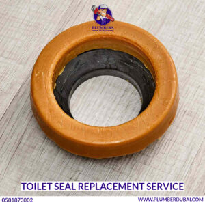 Toilet Seal Replacement Service