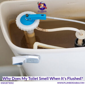 Why Does My Toilet Smell When It's Flushed?