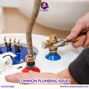 Common Plumbing Issues
