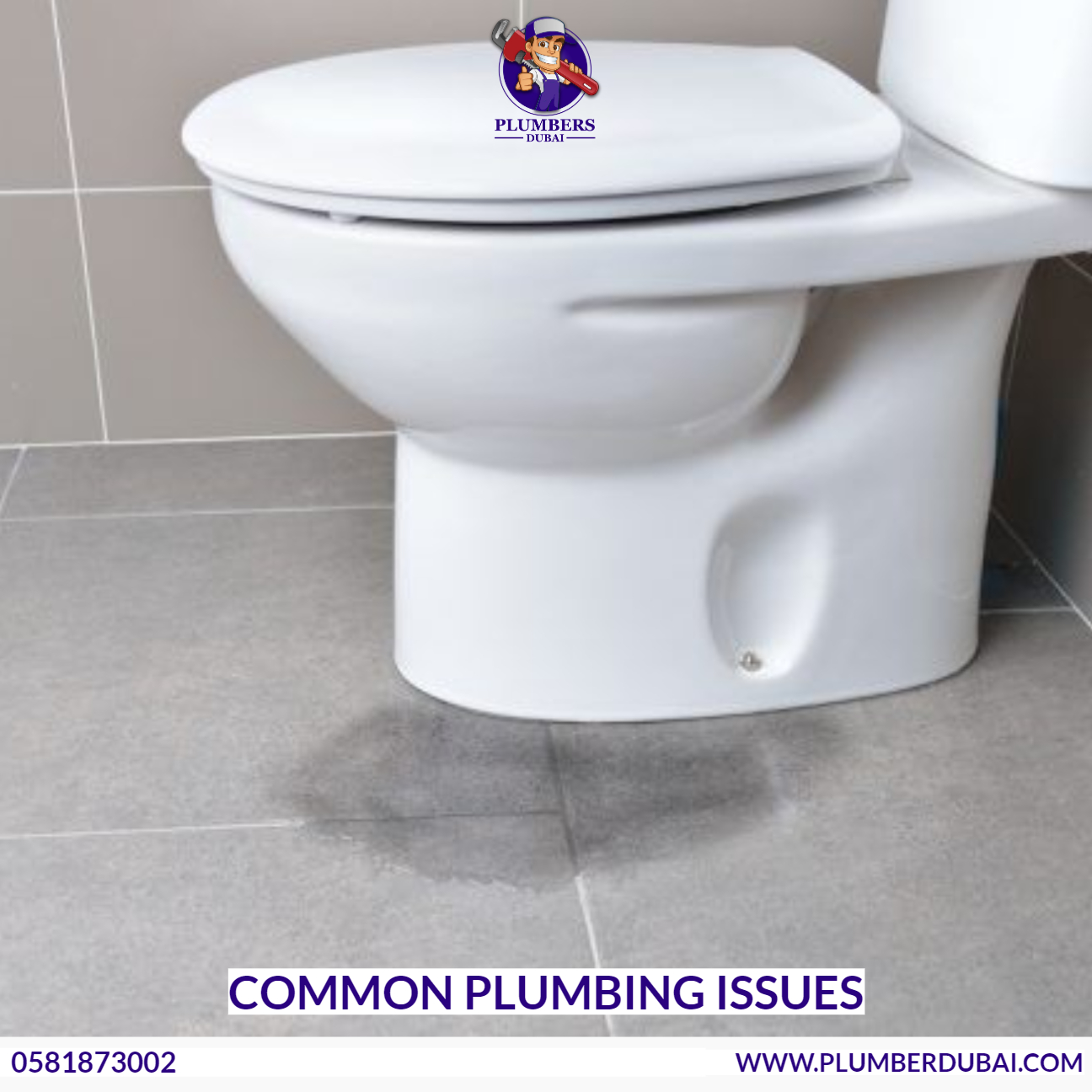 Common Plumbing Issues