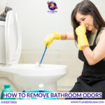 How to Remove Bathroom Odors