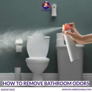 How to Remove Bathroom Odors 