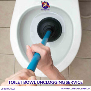 Toilet Bowl Unclogging Service