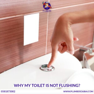 Why My Toilet Is Not Flushing?