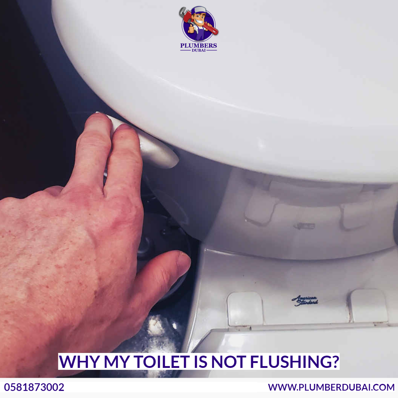 Why My Toilet Is Not Flushing?