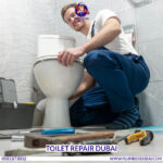 Toilet Repair Dubai