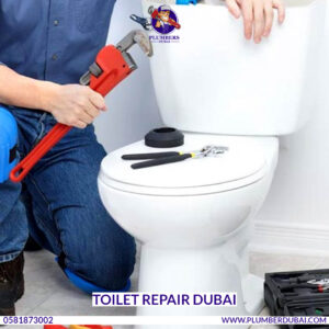 Toilet Repair Dubai 