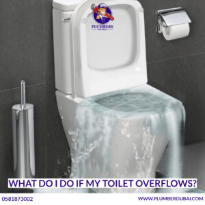 What do I do if my toilet overflows?