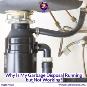 Why Is My Garbage Disposal Running but Not Working?