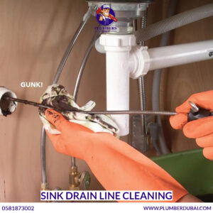 Sink Drain Line Cleaning
