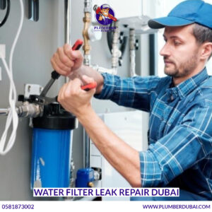 Water Filter Leak Repair Dubai