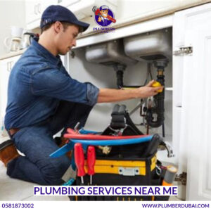 Plumbing Services Near Me