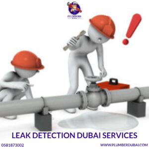 Leak Detection Dubai Services