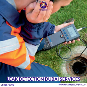 Leak Detection Dubai Services
