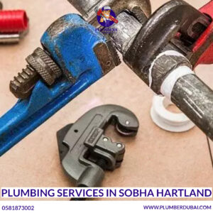 Plumbing Services in Sobha Hartland