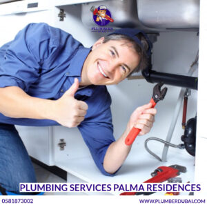 Plumbing services Palma residences